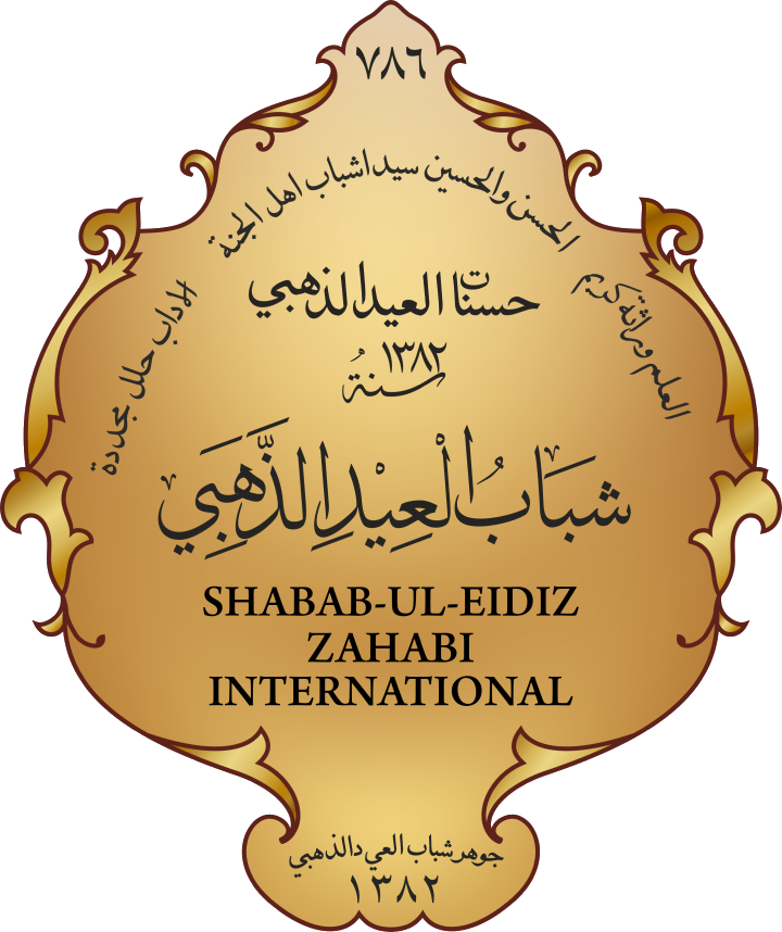 SEZ International logo